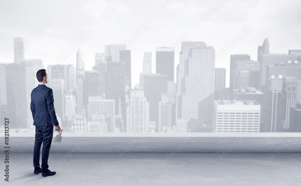 Businessman looking at a big city panorama Businessman looking at a big city panorama