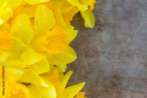 Fototapeta Naklejka Na Ścianę i Meble -  Top view of bright yellow daffodils on old rustic vintage wooden background, spring or easter flower concept