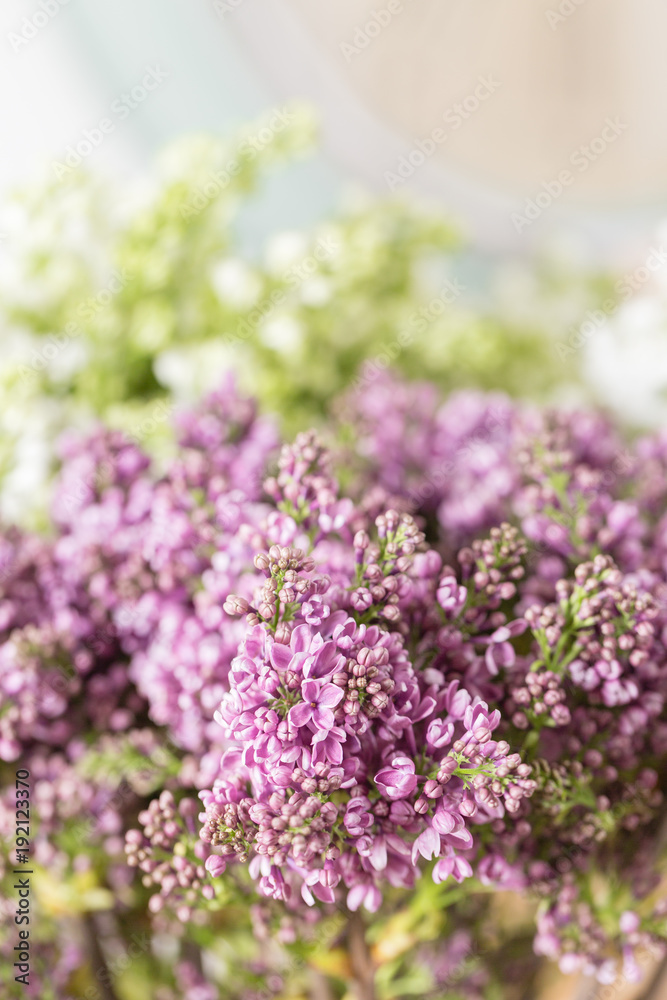 Obraz premium Spring violet lilac flowers, abstract soft floral background.