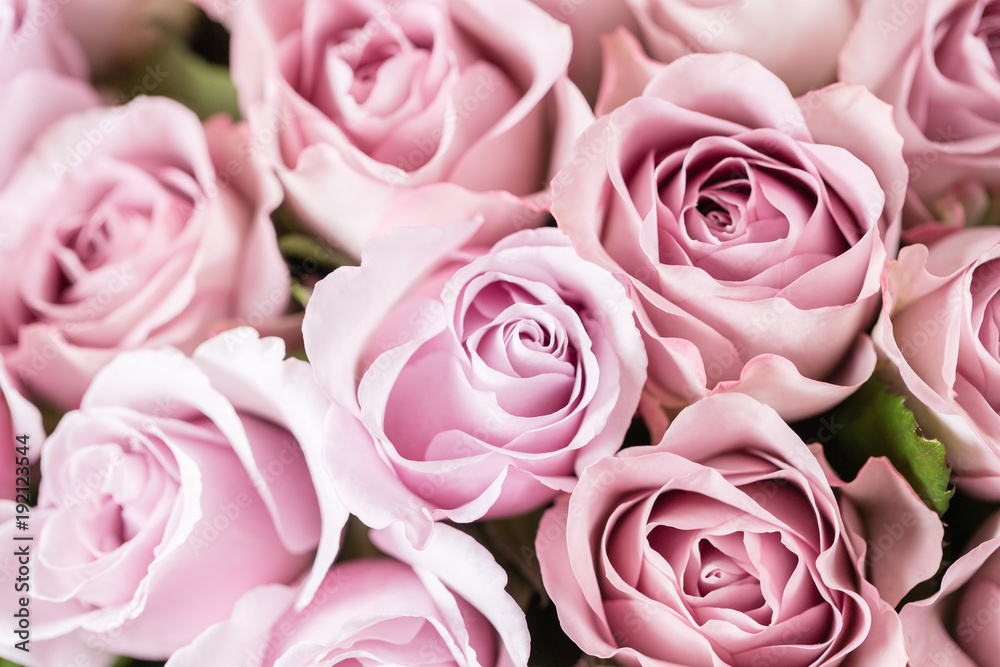 Lilac garden rose. Bouquet flowers of roses in glass vase. Shabby chic home decor. Morning dew - variety. Wallpaper Lilac garden rose. Bouquet flowers of roses in glass vase. Shabby chic home decor. Morning dew - variety. Wallpaper