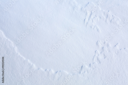 snow texture for the background
