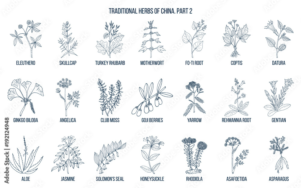 Fototapeta premium Chinese traditional medicinal herbs