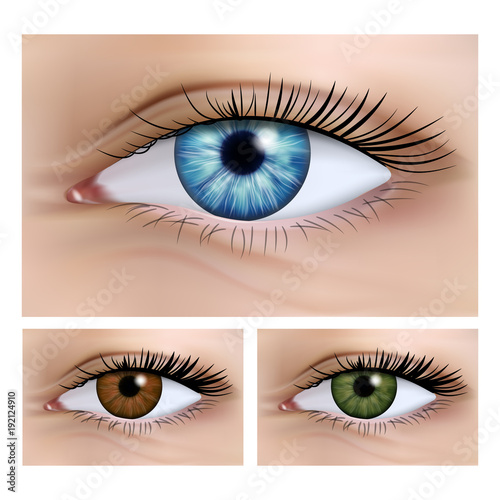 Realistic vector set of human female eyes close-up. 