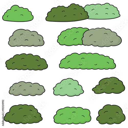 vector set of bush