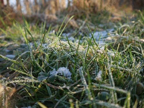 Frost