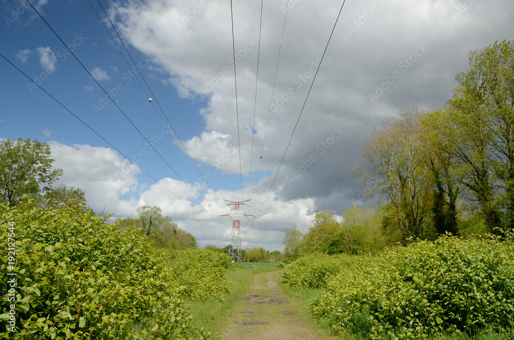 Country lane under the power lines