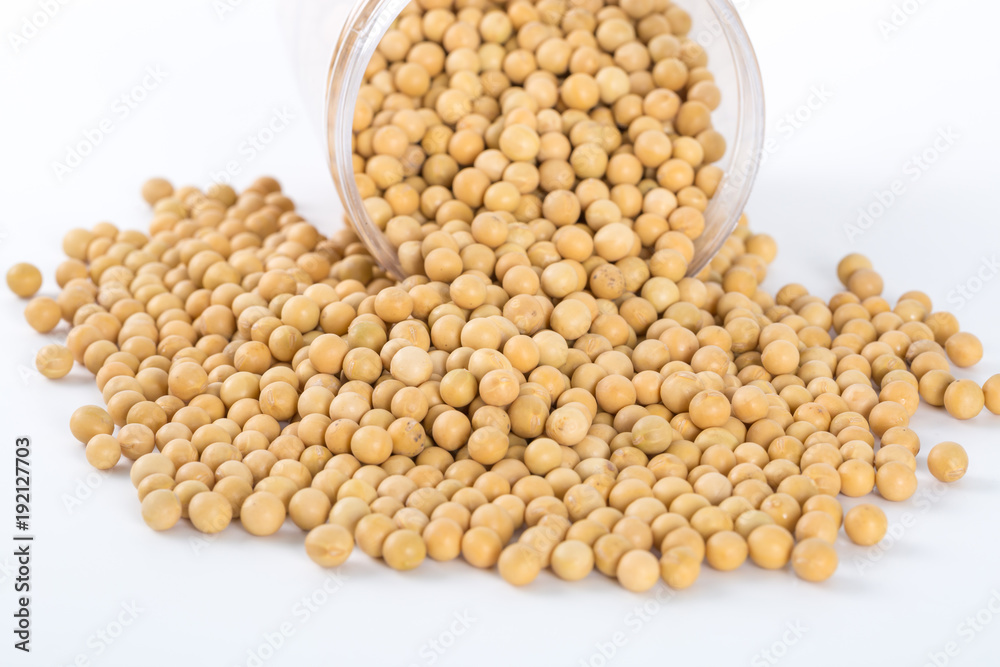 Soybean in bottle on white background
