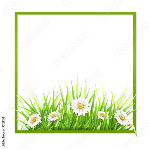 Green frame with grass and daisies and empty place for text. Vector season template for invitation or greeting card.