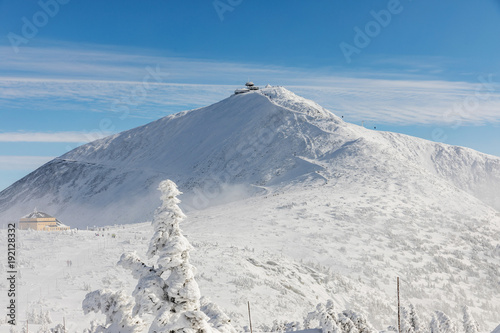 Winter ridges of the Krkonose Mountains, in the background of Snezka mountain, the highest mountain in the Czech Republic. Trees covered with frost.