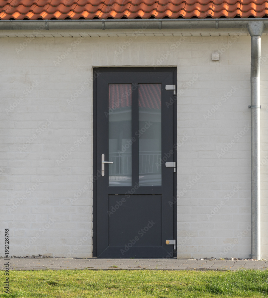 Fototapeta premium Moderne Haustür eines Hauses