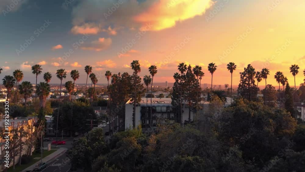 Aerial view flying over row of palm trees in Hollywood, revealing city of Los Angeles cityscape skyline at sunset. 4K UHD.