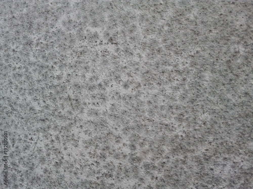 Mold (mildew) and fungus on white wall: kind of mold form of spots or dots black color, fungus spores. Abstract white wall texture gray mold background. Vintage grunge old white wall mold background Mold (mildew) and fungus on white wall: kind of mold form of spots or dots black color, fungus spores. Abstract white wall texture gray mold background. Vintage grunge old white wall mold background