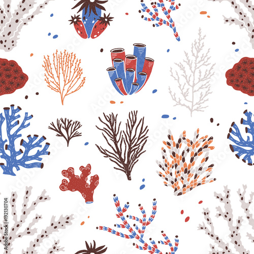 Seamless pattern with various corals and seaweed or algae on white background