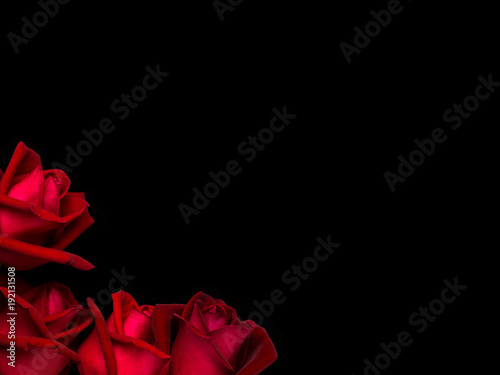 Fototapeta Naklejka Na Ścianę i Meble -  Top view and close-up image of beautiful blooming red rose flowers in corner on black background with copy space, Valentine day concept
