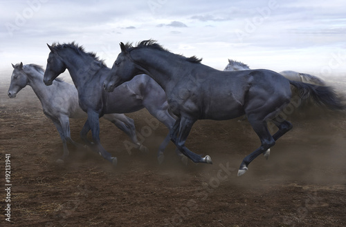a herd of swift horses jumps on the boundless steppe