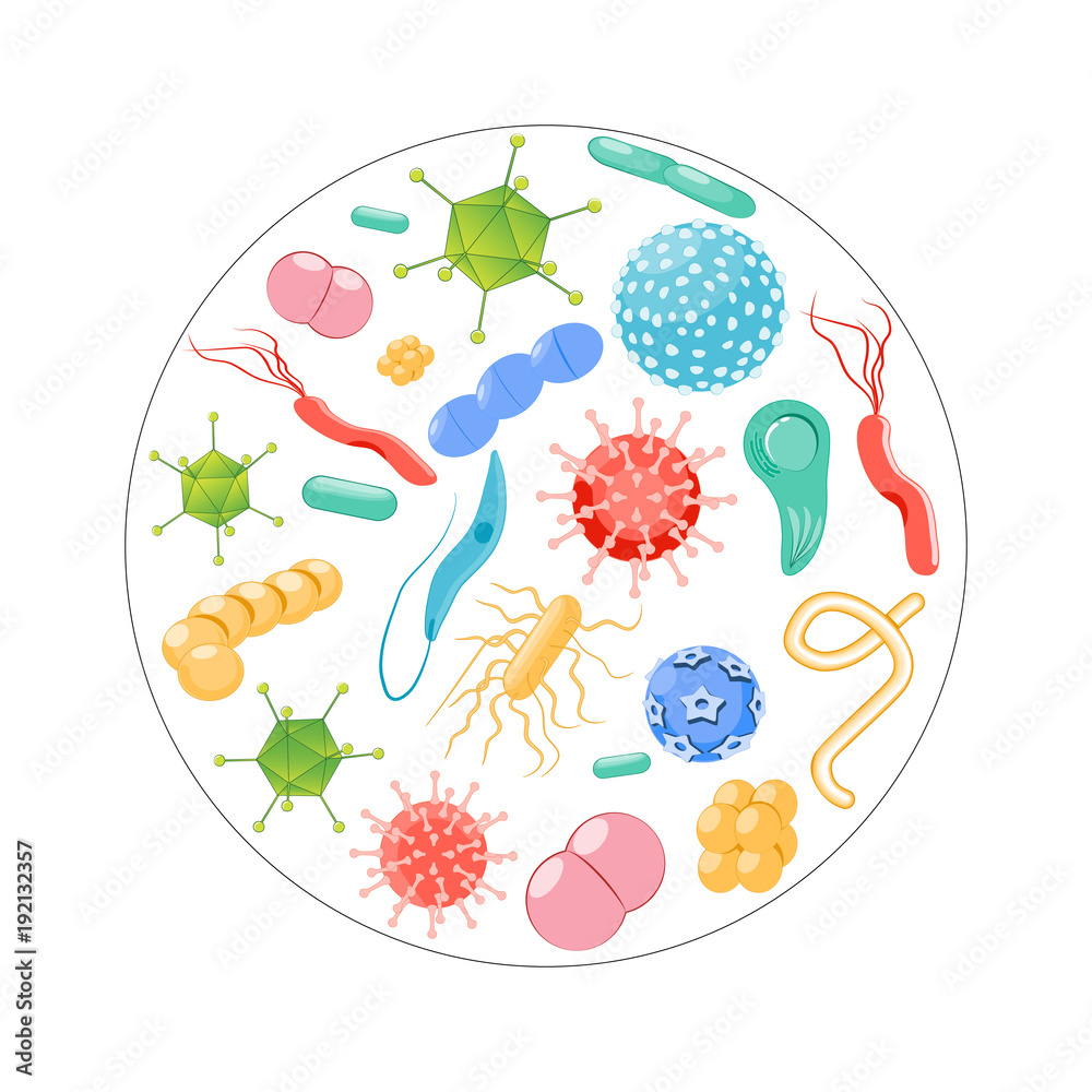 pathogens shapes. Bacteria, germ, virus set