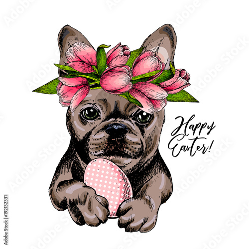 Portrait of french bulldog dog with Easter egg wearing tulip crown. Welcome spring. Hand drawn colored vector illustration. Engraved detailed art. Good for Easter greeting card, poster, banner, flyer