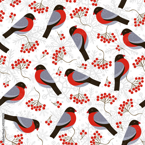 seamless pattern with bullfinches and rowan - vector illustration, eps
