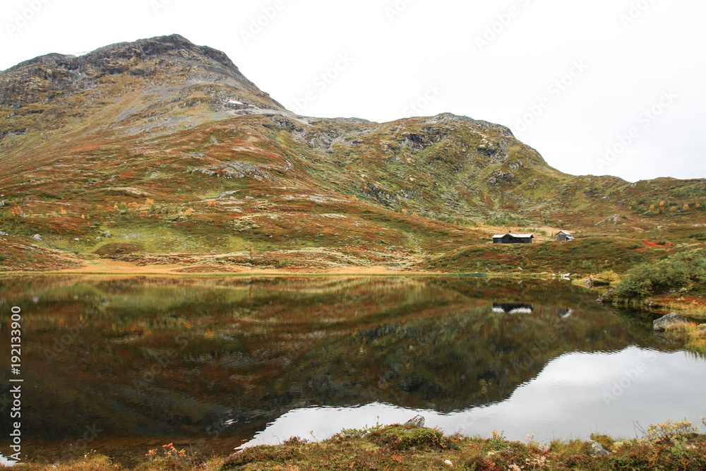 Tundra Taiga Fjäll