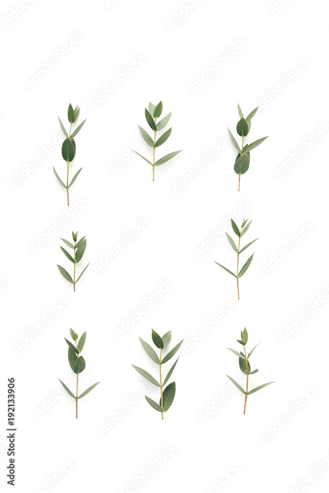Frame With Green Leaves On White Background Frame With Green Leaves On White Background