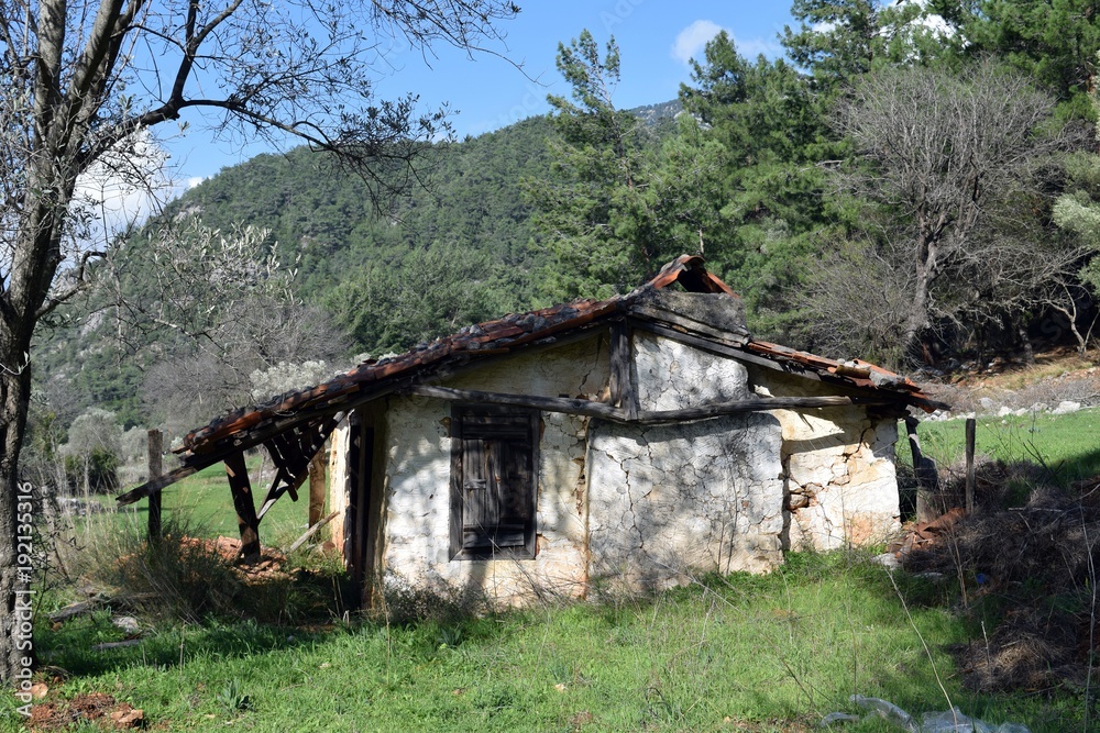 An old, abandoned house in a spring pine forest.Akyaka.Turkey