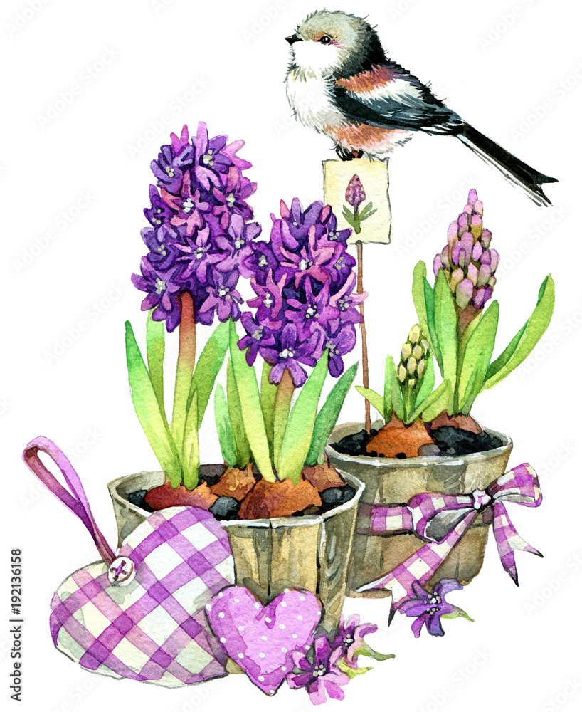 Obraz Ptak i wiosna ogrodowa akwarela kwitnie akwareli ilustrację.