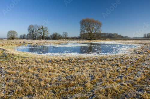 Large frozen puddle on a frosted meadow and trees