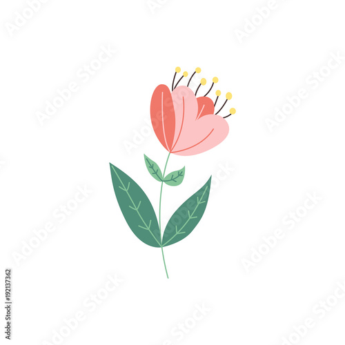 Vector flat abstract tulip flower icon. Meadow garden spring easter women day romantic holiday, wedding invitation card decoration element summer floral Illustration white background