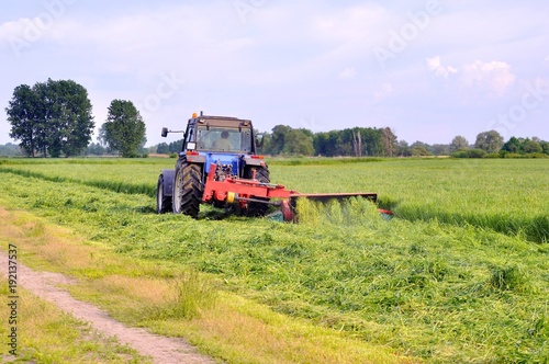 Mowing grass with a tractor