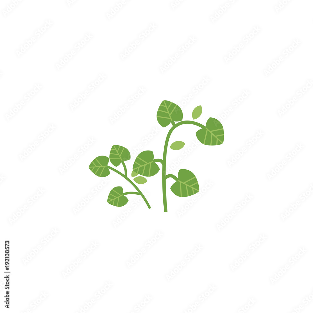 vector flat style hand drawn parsley branch with stem, leaves image. Isolated illustration on a white background. Spices , seasoning, flavorings and barbecue herbs concept.