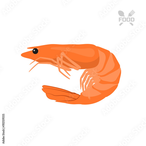 Orange shrimp on a white background. Seafood. Isolated image of prawn. Vector illustration