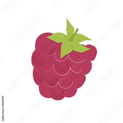 Raspberry vector illustration