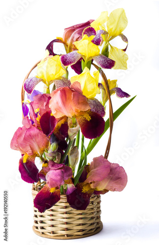 Fototapeta Naklejka Na Ścianę i Meble -  Mixed iris flowers in a vase