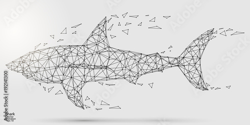 Abstract shark consists of lines and triangles. The illustration is made up of polygons and points, stars in the sky. Vector EPS 10.