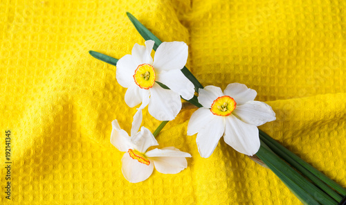 Fototapeta Naklejka Na Ścianę i Meble -  Narcissus flowers bouquet on yellow background