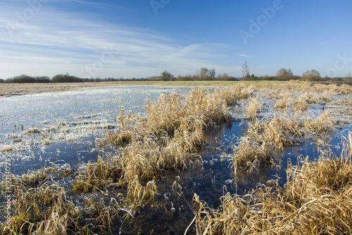 Frozen wet meadow