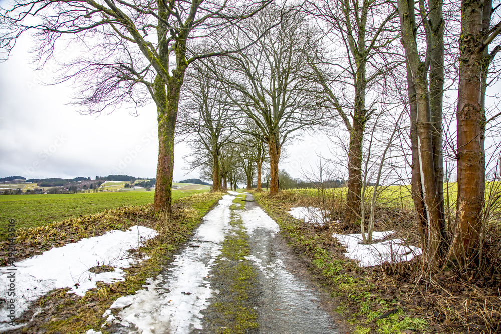 Dirt road in winter Dirt road in winter