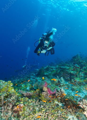 Young woman scuba diver exploring coral reef © Jag_cz