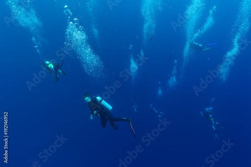 Group of scuba divers descending into deepness