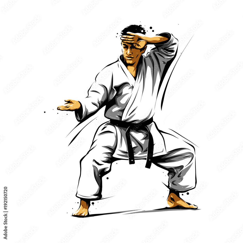 karate action 6