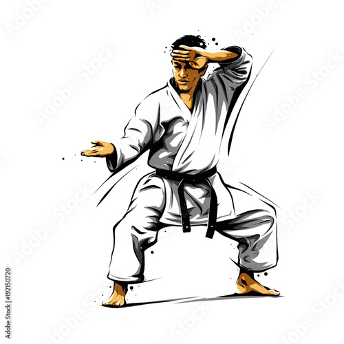 karate action 6 photo