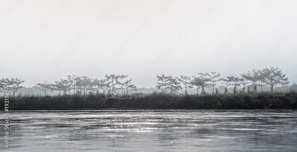 beautiful view of Chitwan national park landscape with river and trees, Neplal.