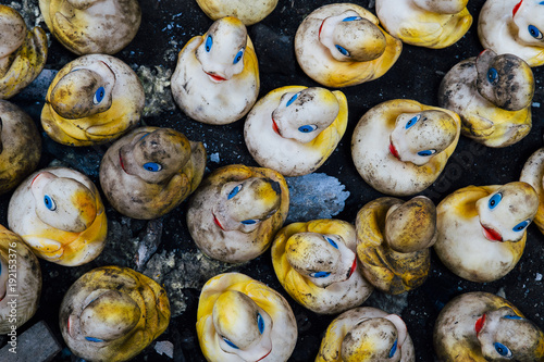 Abandoned Rubber Ducks - Cleveland, Ohio photo