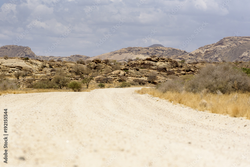 Desert Landscapes