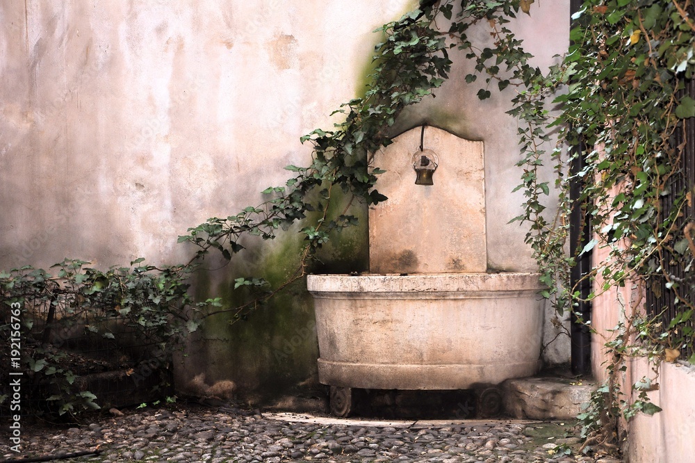 Very old stone fountain with climbing ivy in Brescia, Italy. Very old stone fountain with climbing ivy in Brescia, Italy.