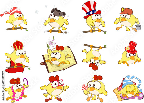Set of Cute Chickens in Different Poses for you Design. Cartoon Character