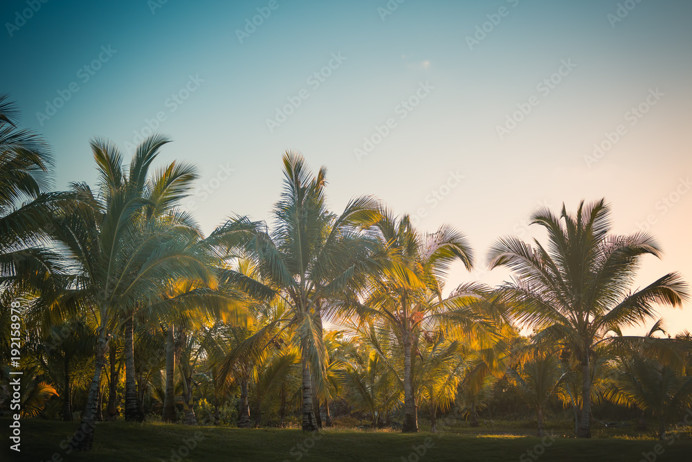 Golf course in the countryside at Punta Cana beach resort, Dominican Republic