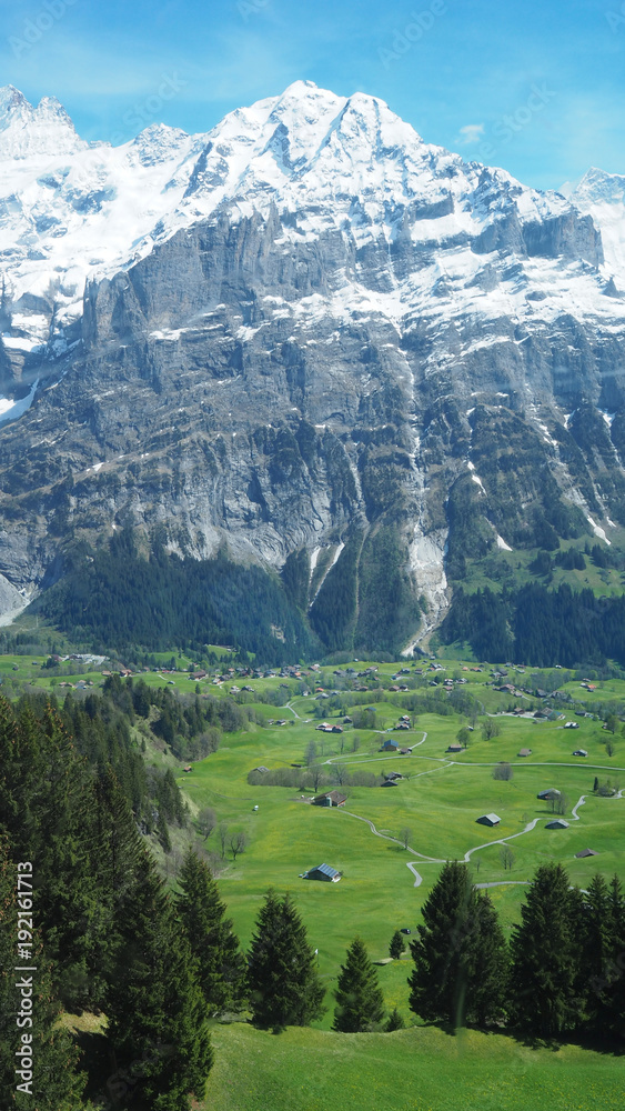 View of Alps mountains from Grindelwald First