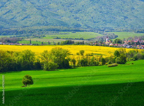 Colorful spring rural field, village and beautiful nature in background