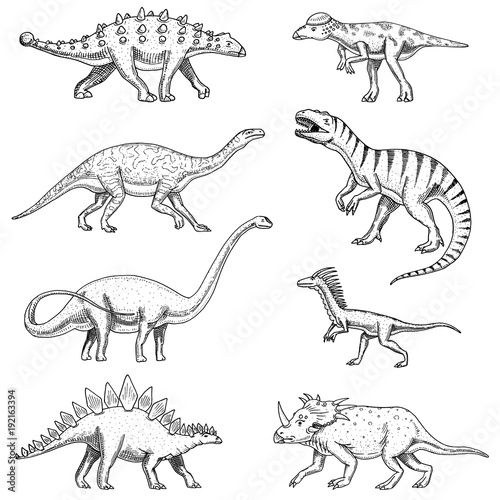 Dinosaurs set  triceratops  barosaurus  tyrannosaurus rex  stegosaurus  pachycephalosaurus  diplodocus  deinonychus  velociraptor  skeletons  fossils. Prehistoric reptiles  Animal Hand drawn vector.